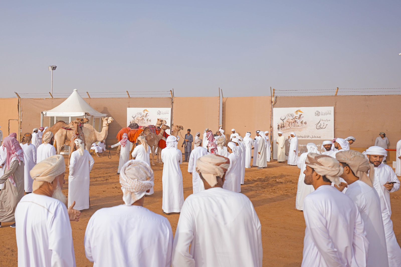 مزاينة رزين المحطة الثانية لمهرجان الظفرة تنطلق غداً