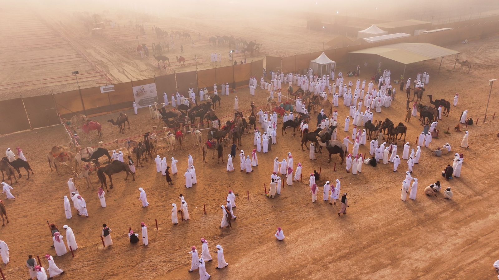 مزاينة رزين المحطة الثانية لمهرجان الظفرة تنطلق غداً