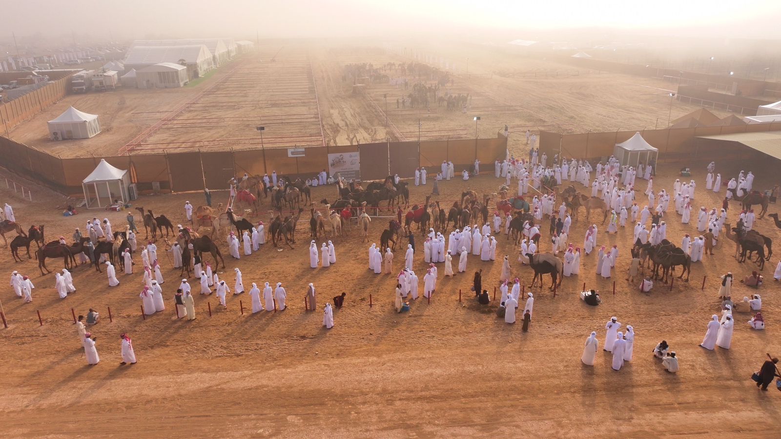 مزاينة رزين المحطة الثانية لمهرجان الظفرة تنطلق غداً