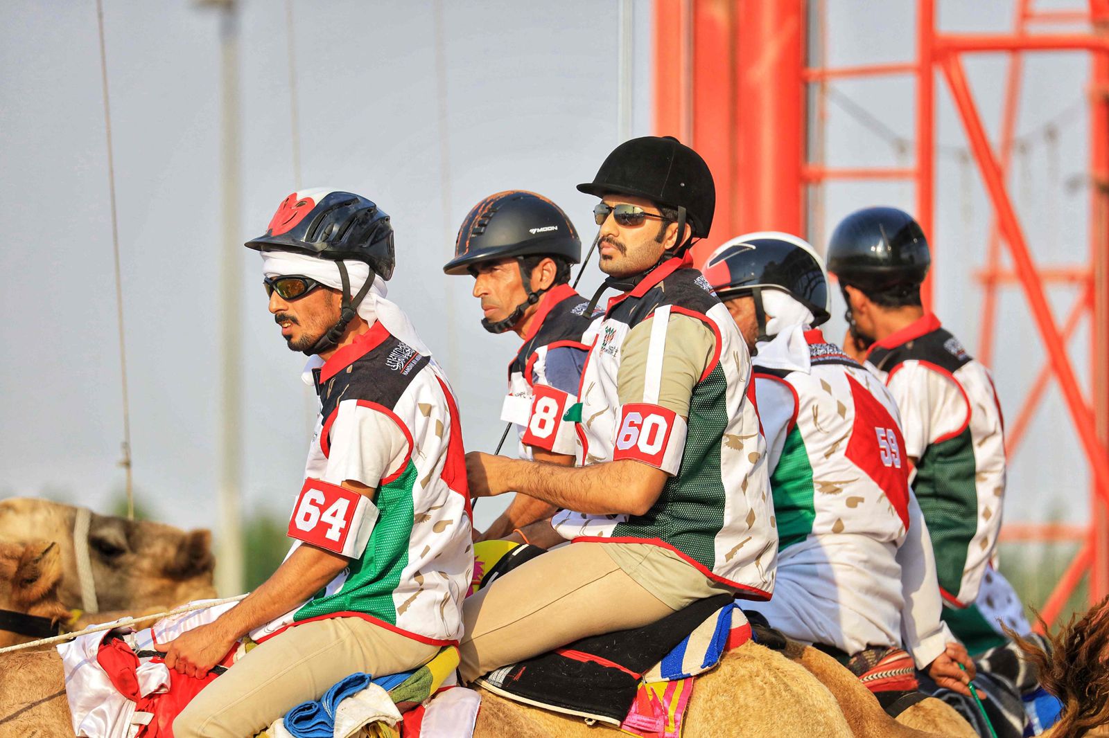 انطلاقة واعدة لتمهيدي ماراثون اليوم الوطني للهجن