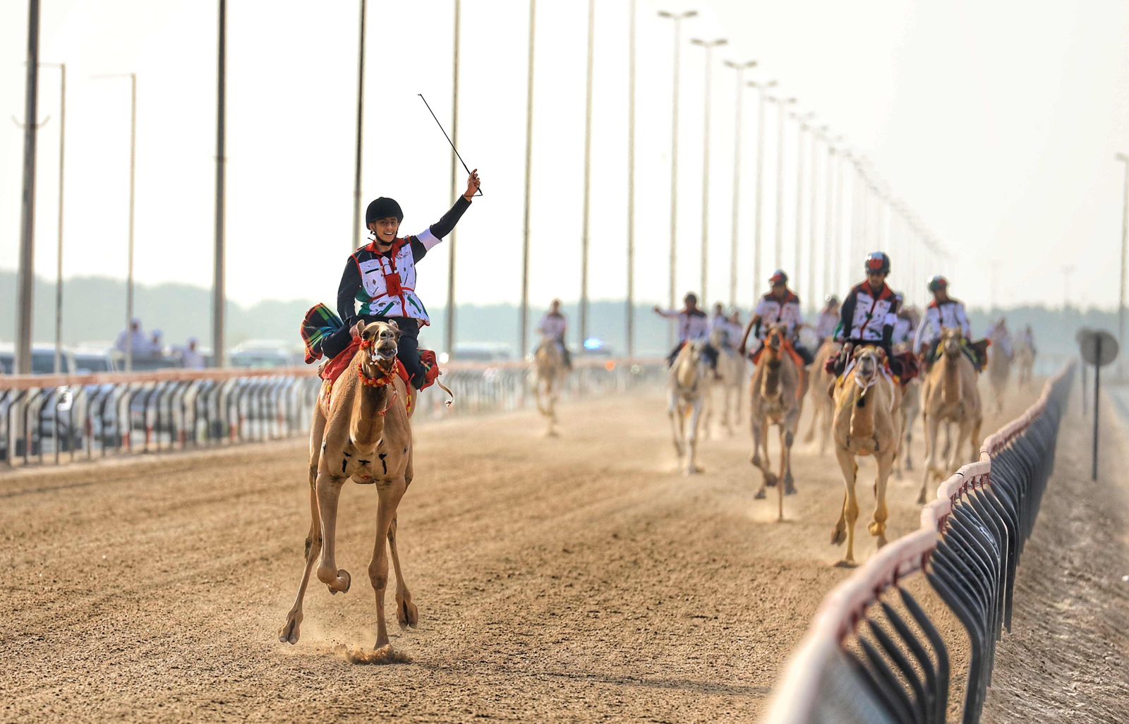 انطلاقة واعدة لتمهيدي ماراثون اليوم الوطني للهجن