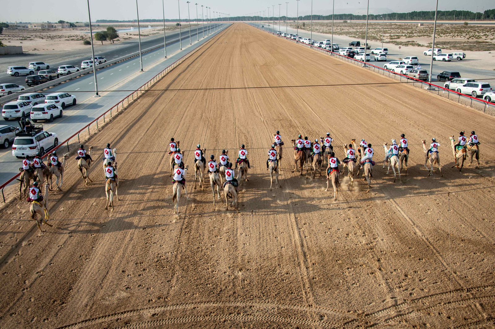 انطلاقة واعدة لتمهيدي ماراثون اليوم الوطني للهجن