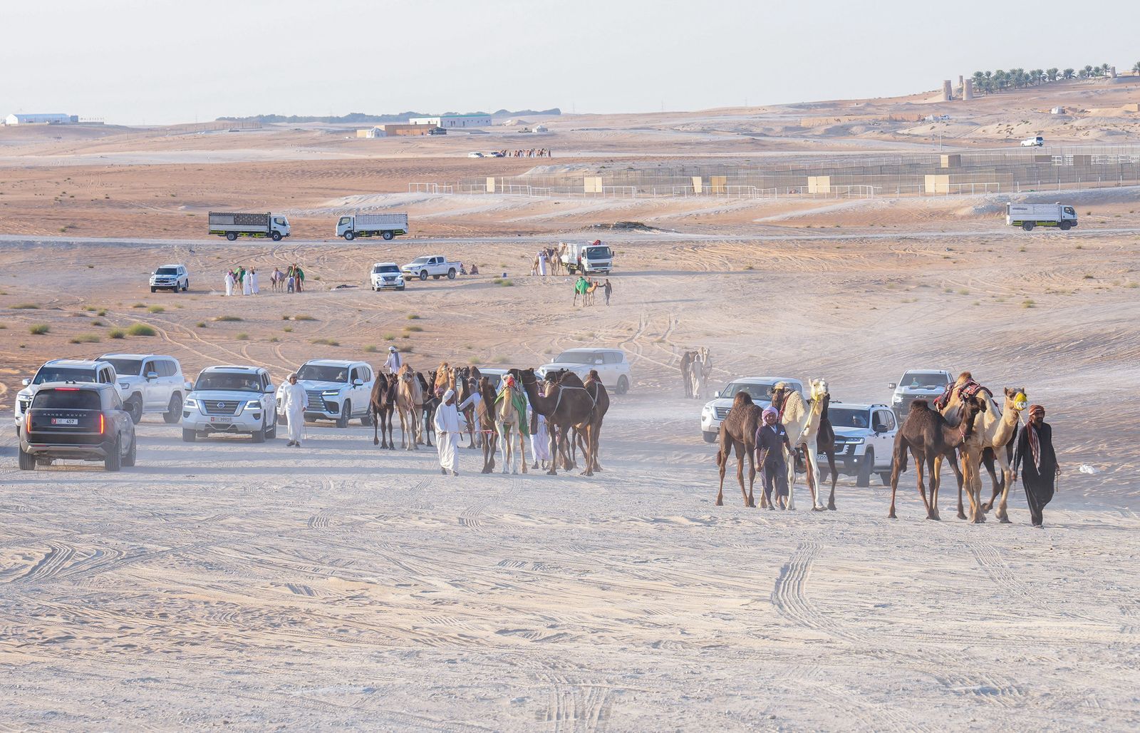 انطلاق «مزاينة مدينة زايد» المحطة الثالثة في مهرجان الظفرة