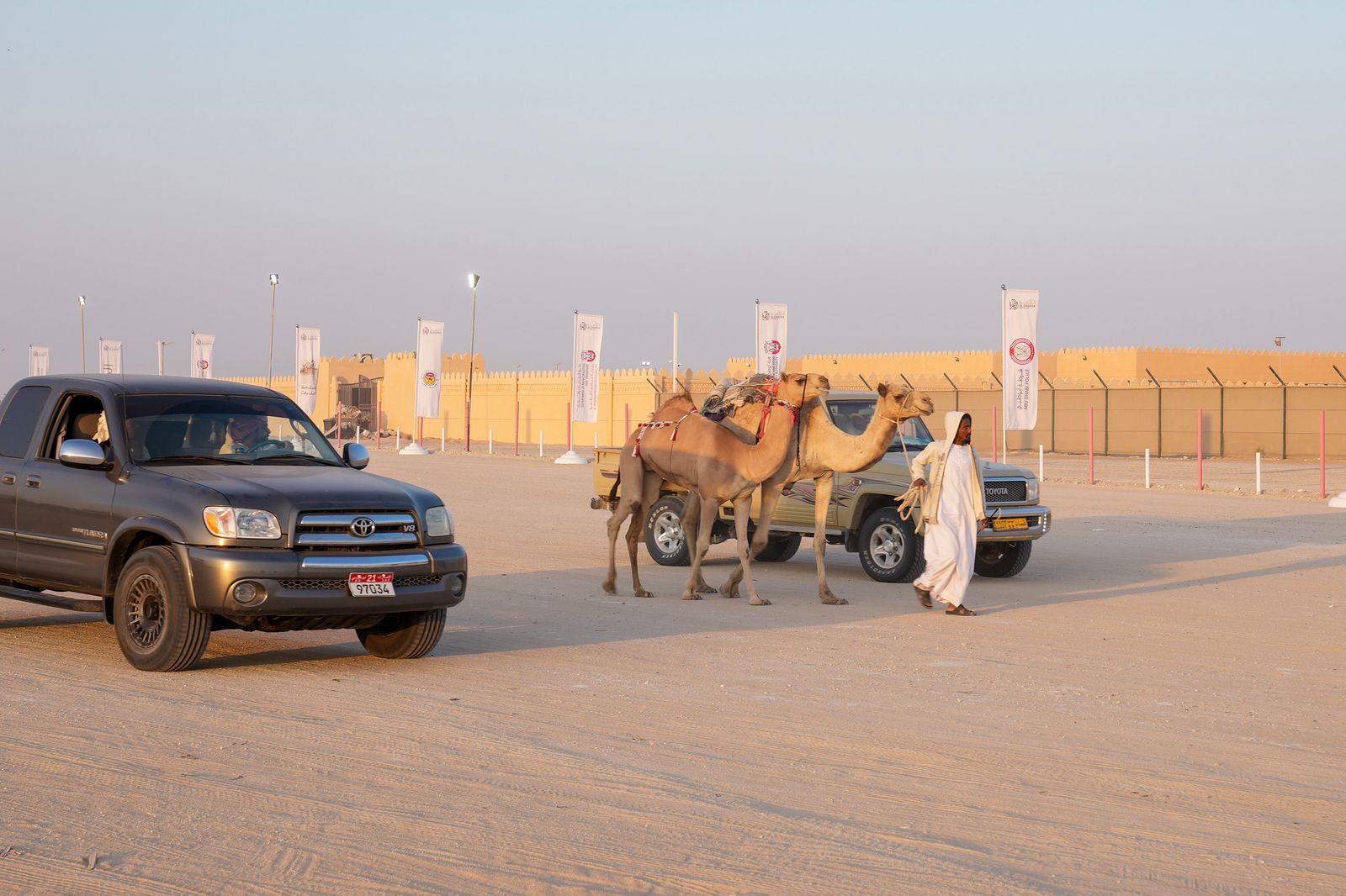 انطلاق «مزاينة مدينة زايد» المحطة الثالثة في مهرجان الظفرة