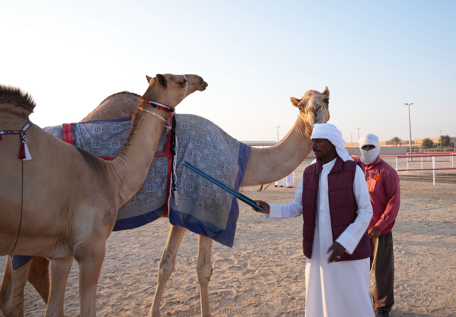 انطلاق «مزاينة مدينة زايد» المحطة الثالثة في مهرجان الظفرة