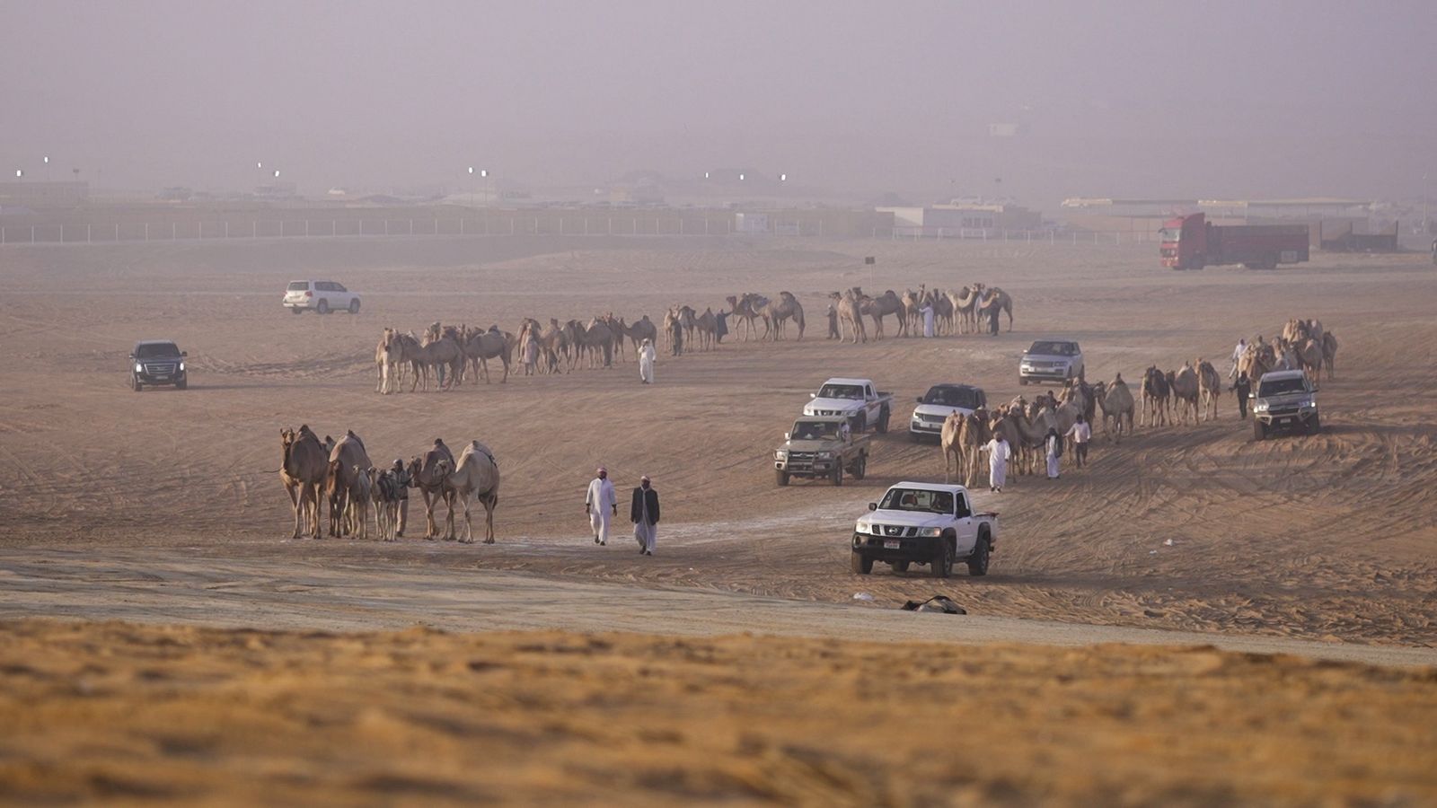 انطلاق مزاينة مدينة زايد» المحطة الثالثة في مهرجان الظفرة  
