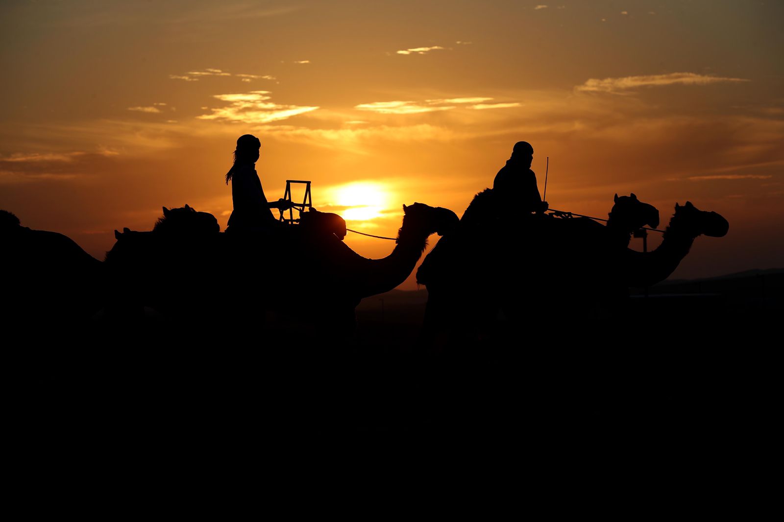 انطلاق مزاينة مدينة زايد» المحطة الثالثة في مهرجان الظفرة  