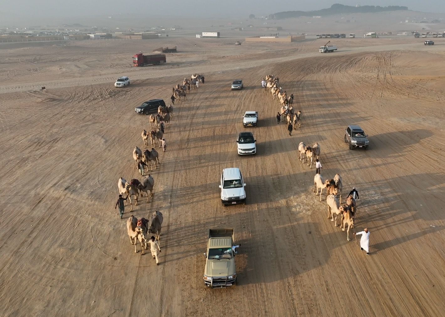 انطلاق مزاينة مدينة زايد» المحطة الثالثة في مهرجان الظفرة  