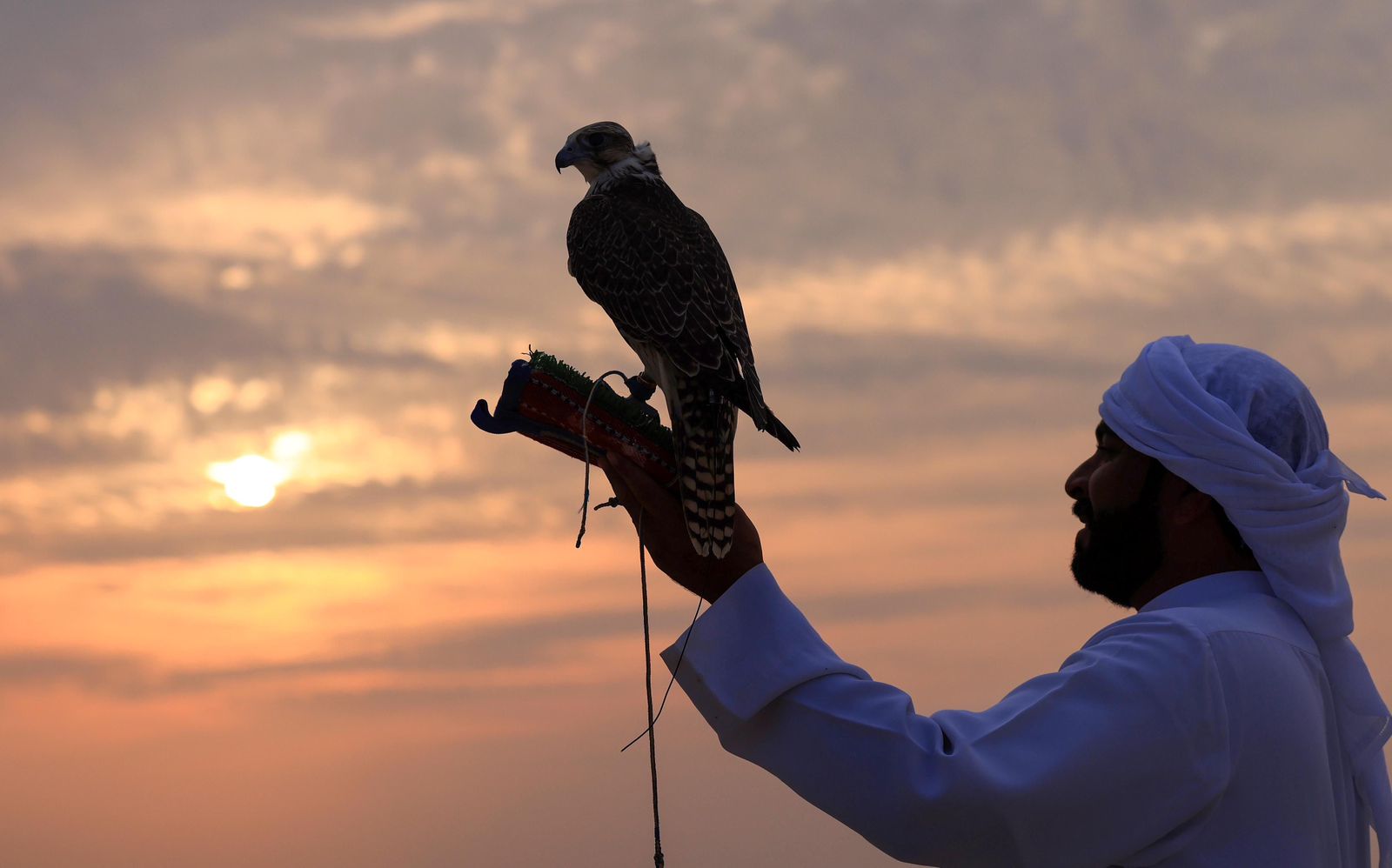 مهرجان الياسات يشهد عدداً من المسابقات الرياضية في أسبوعه الأول