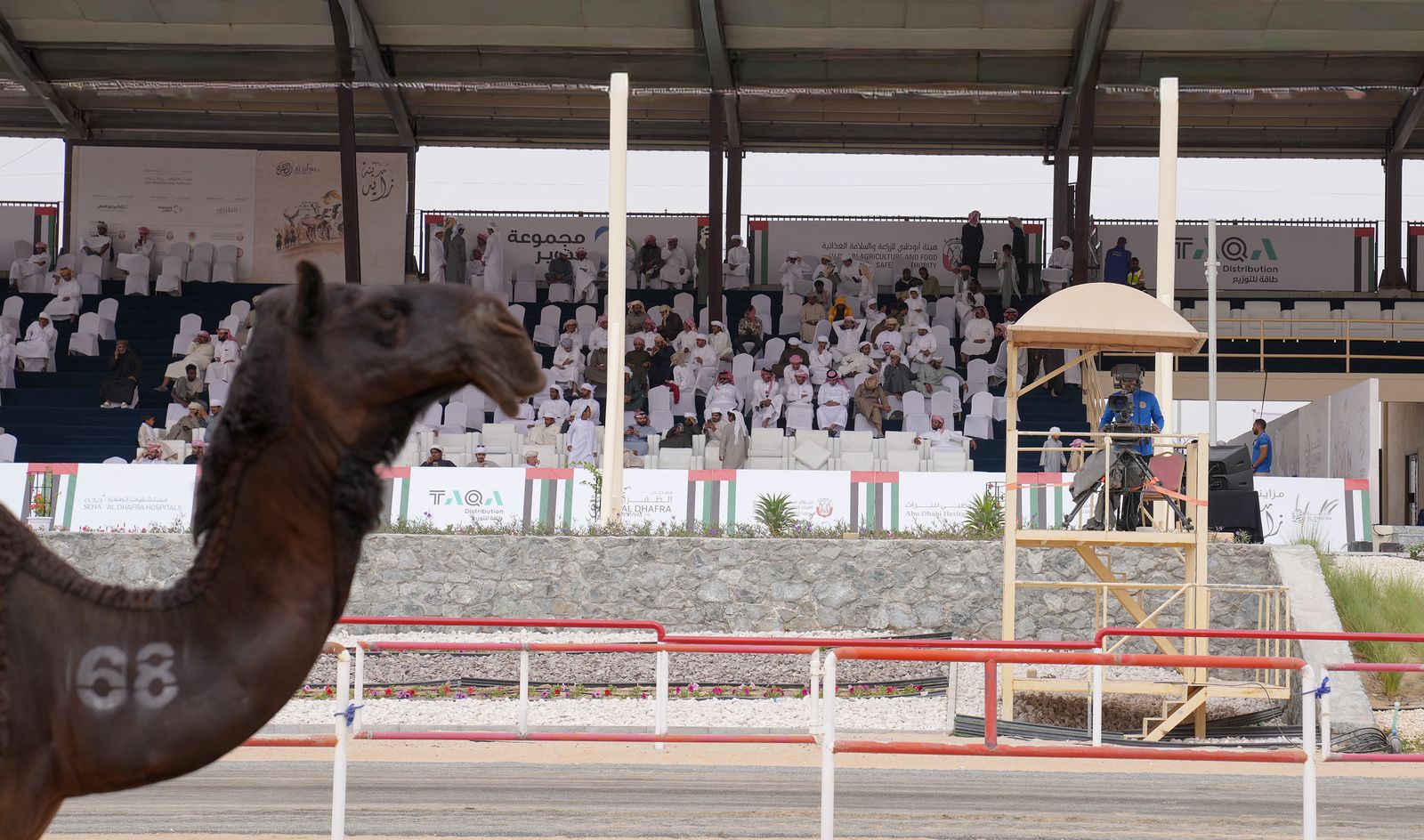 منافسات قوية في مزاينة مدينة زايد بمهرجان الظفرة وتتويج الفائزين