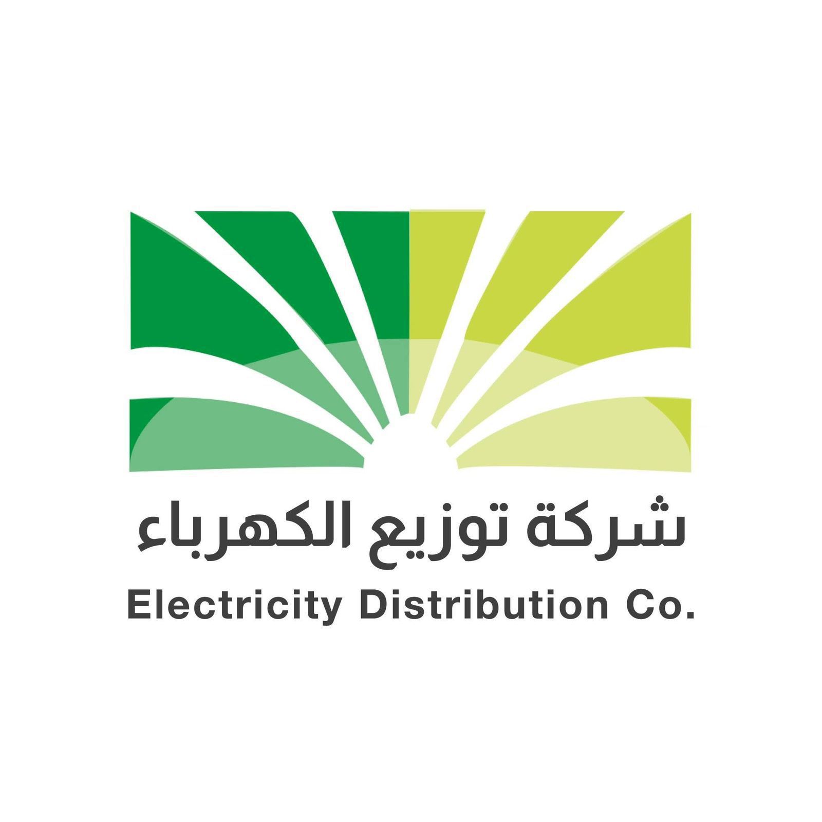 توزيع الكهرباء تطلق منصة رقمية مدعومة بالذكاء الاصطناعي للتنبؤ بالأحمال وتأثيرات الطقس