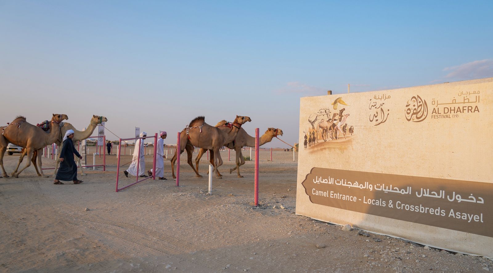 منافسات قوية في مزاينة مدينة زايد بمهرجان الظفرة وتتويج الفائزين