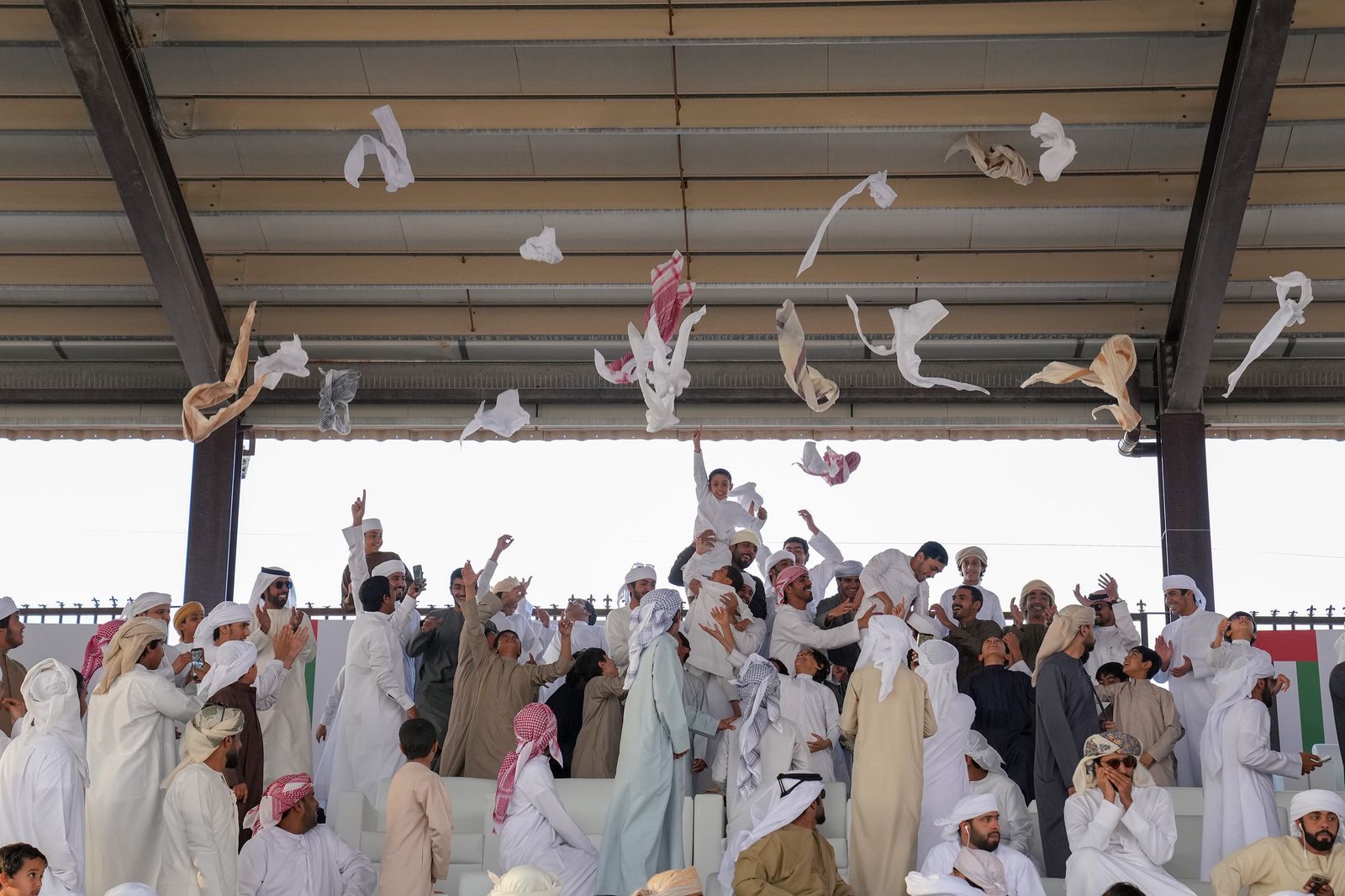 الصيحة تحفز الإبل المشاركة في مزاينة مدينة زايد