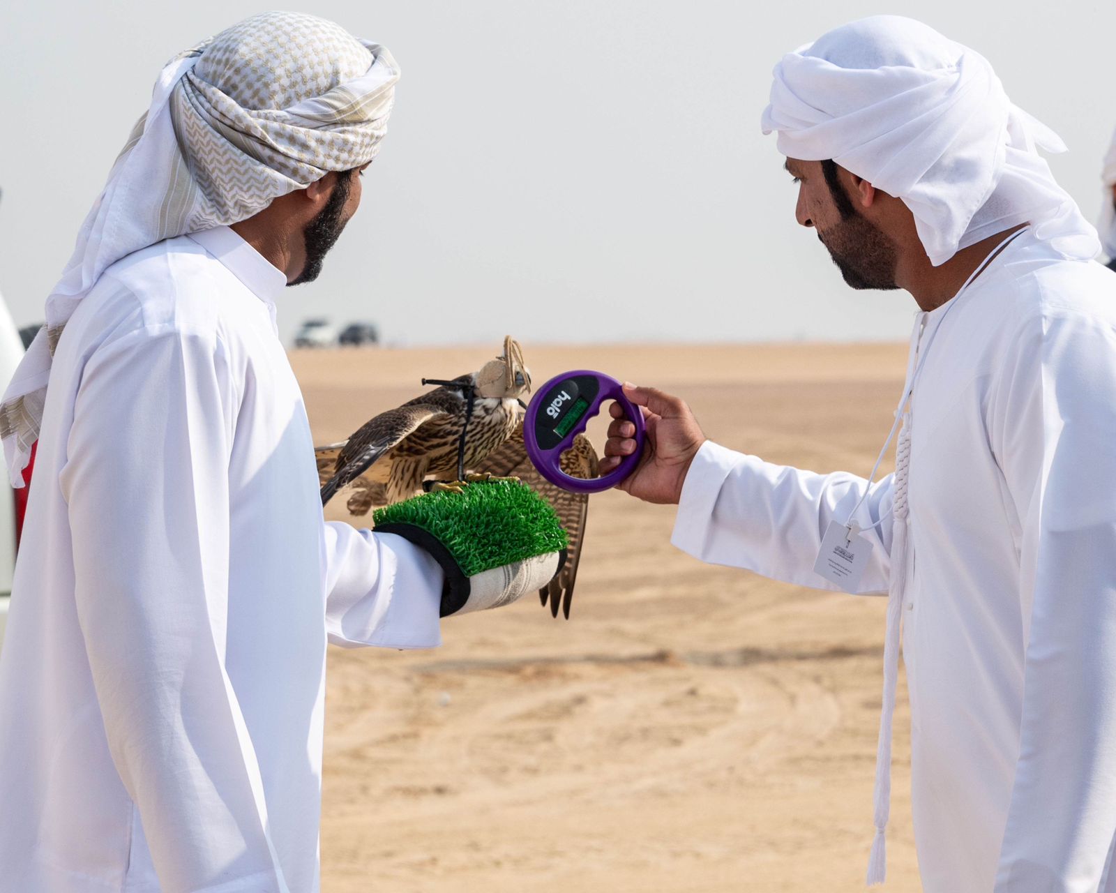 بمشاركة محلية واسعة انطلاق تصفيات بطولة فزاع للهدد