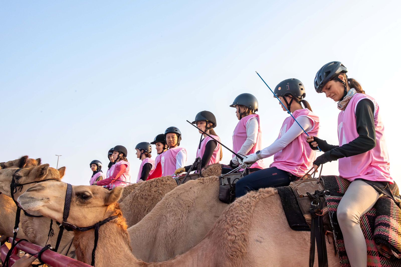 ماراثون رحلة الهجن ضمن مهرجان محمد بن زايد لسباقات الهجن بالذيد