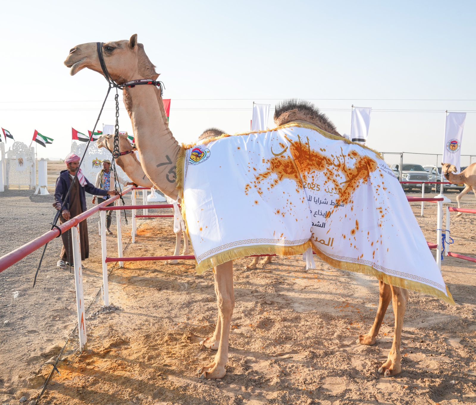 تتويج الفائزين بمزاينة الإيذاع في مهرجان محمد بن زايد لسباقات الهجن ومزاينة الإبل