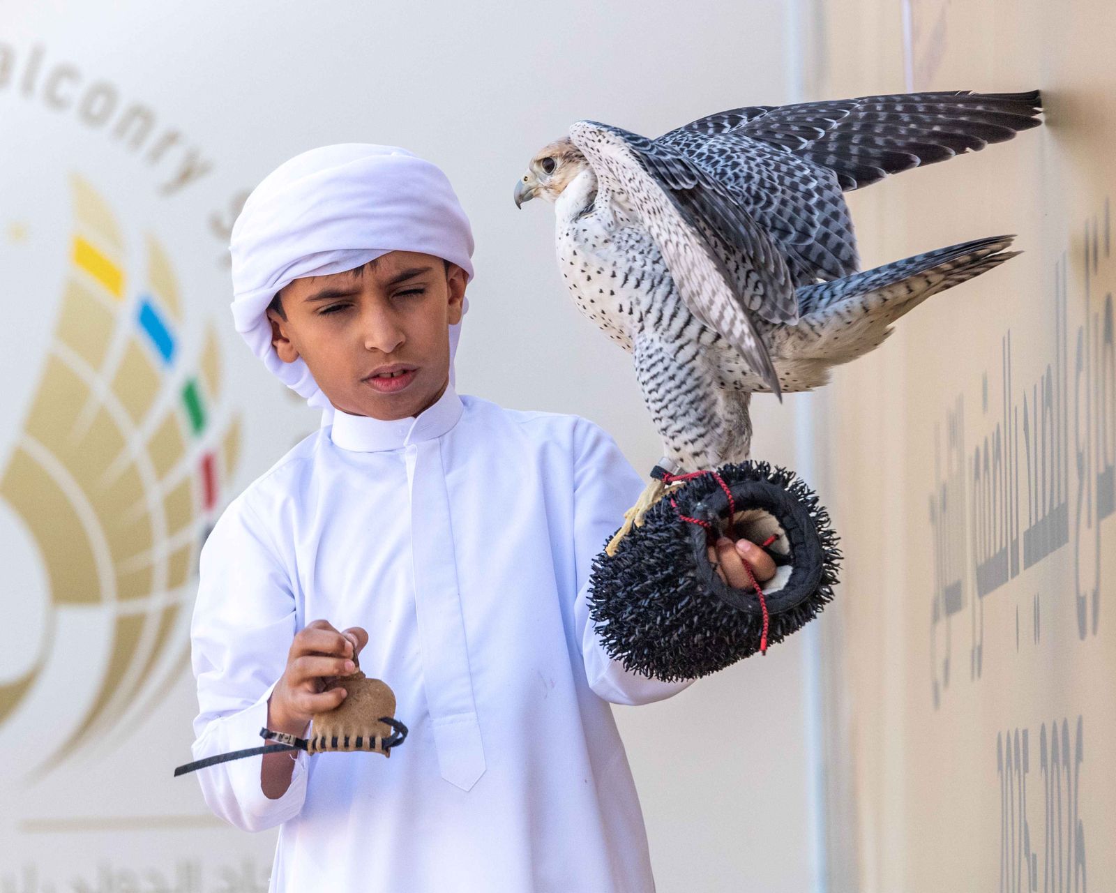 مركز حمدان بن محمد لإحياء التراث يعلن عن انطلاق بطولة فزاع للصيد بالصقور