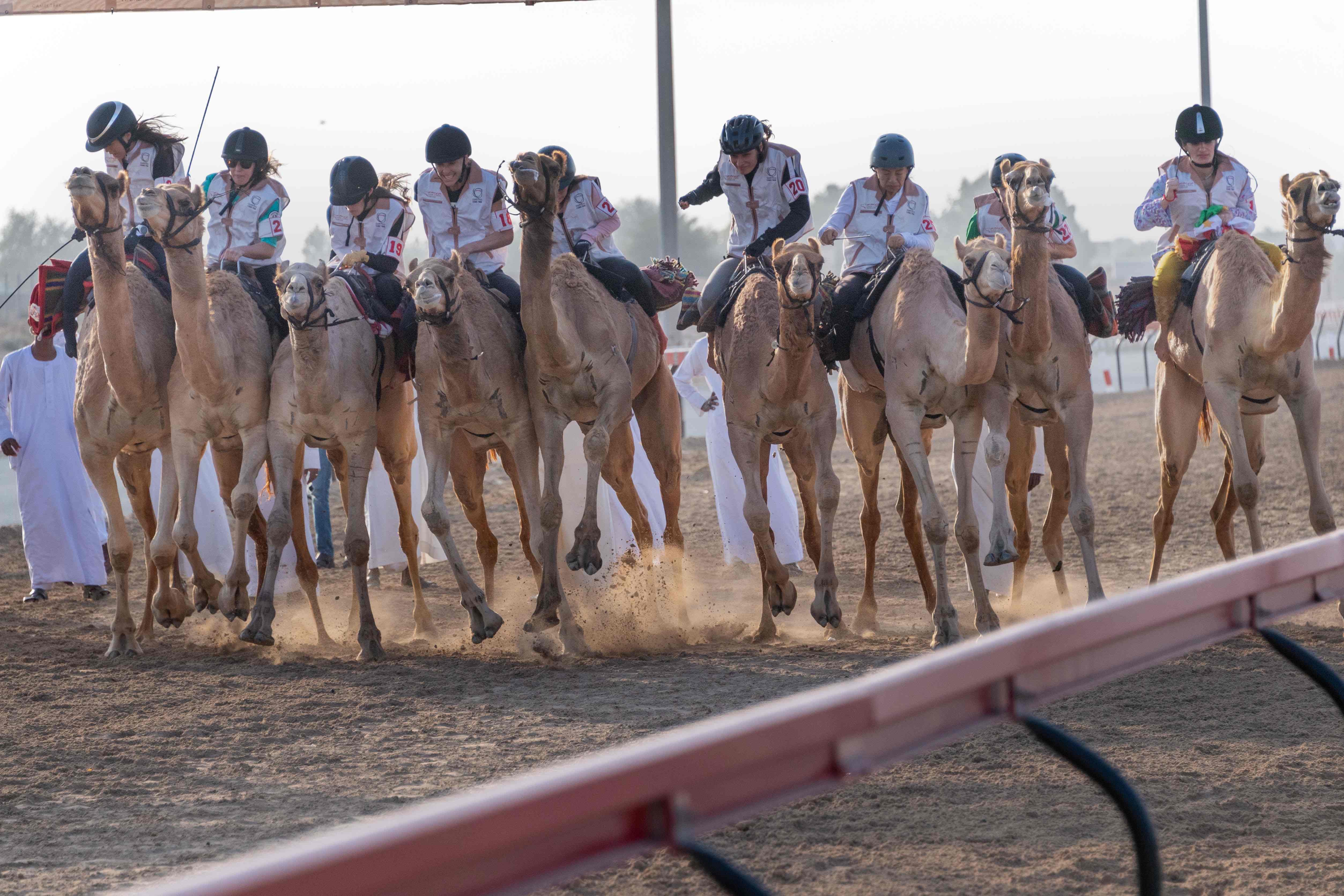 ثلاث فئات في ختام التمهيدي الثاني لماراثون رحلة الهجن