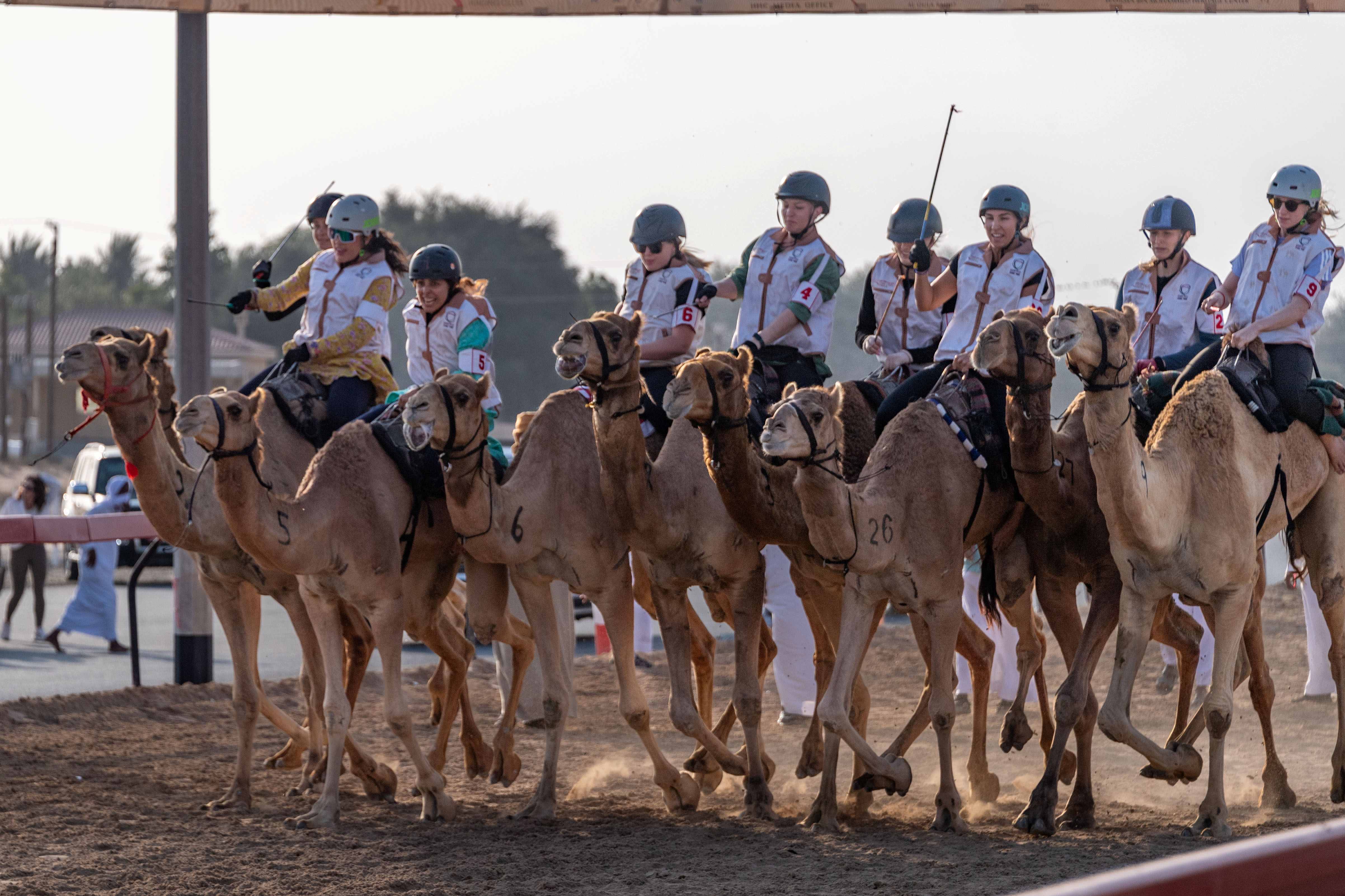 ثلاث فئات في ختام التمهيدي الثاني لماراثون رحلة الهجن