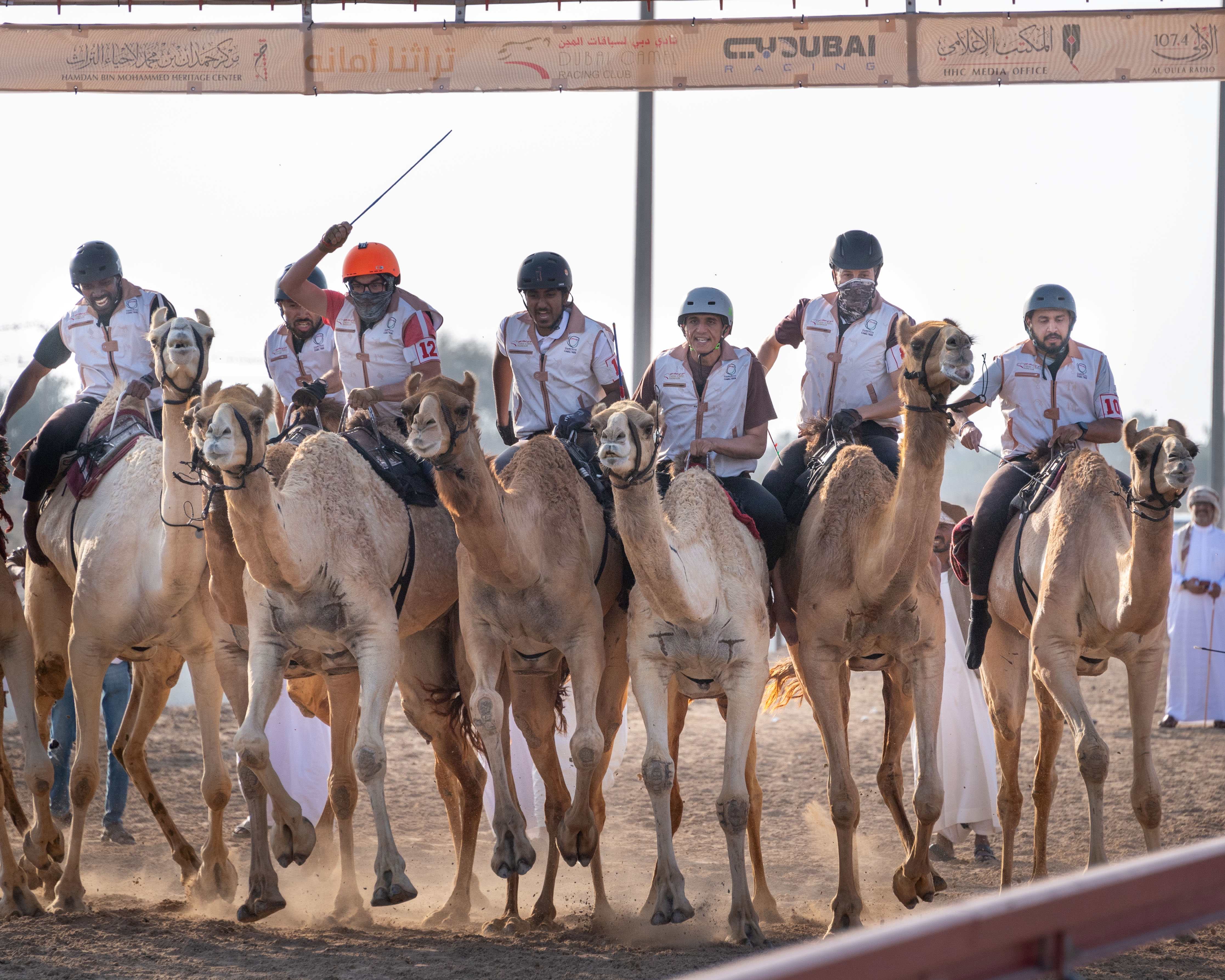 ثلاث فئات في ختام التمهيدي الثاني لماراثون رحلة الهجن