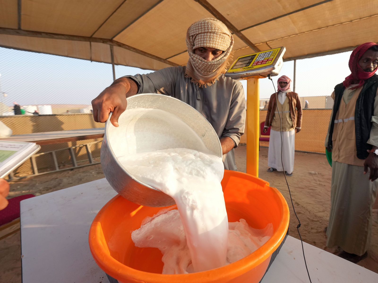 تحت رعاية رئيس الدولة..مهرجان الظفرة الـ 19 ينطلق غداً بمحطته الختامية