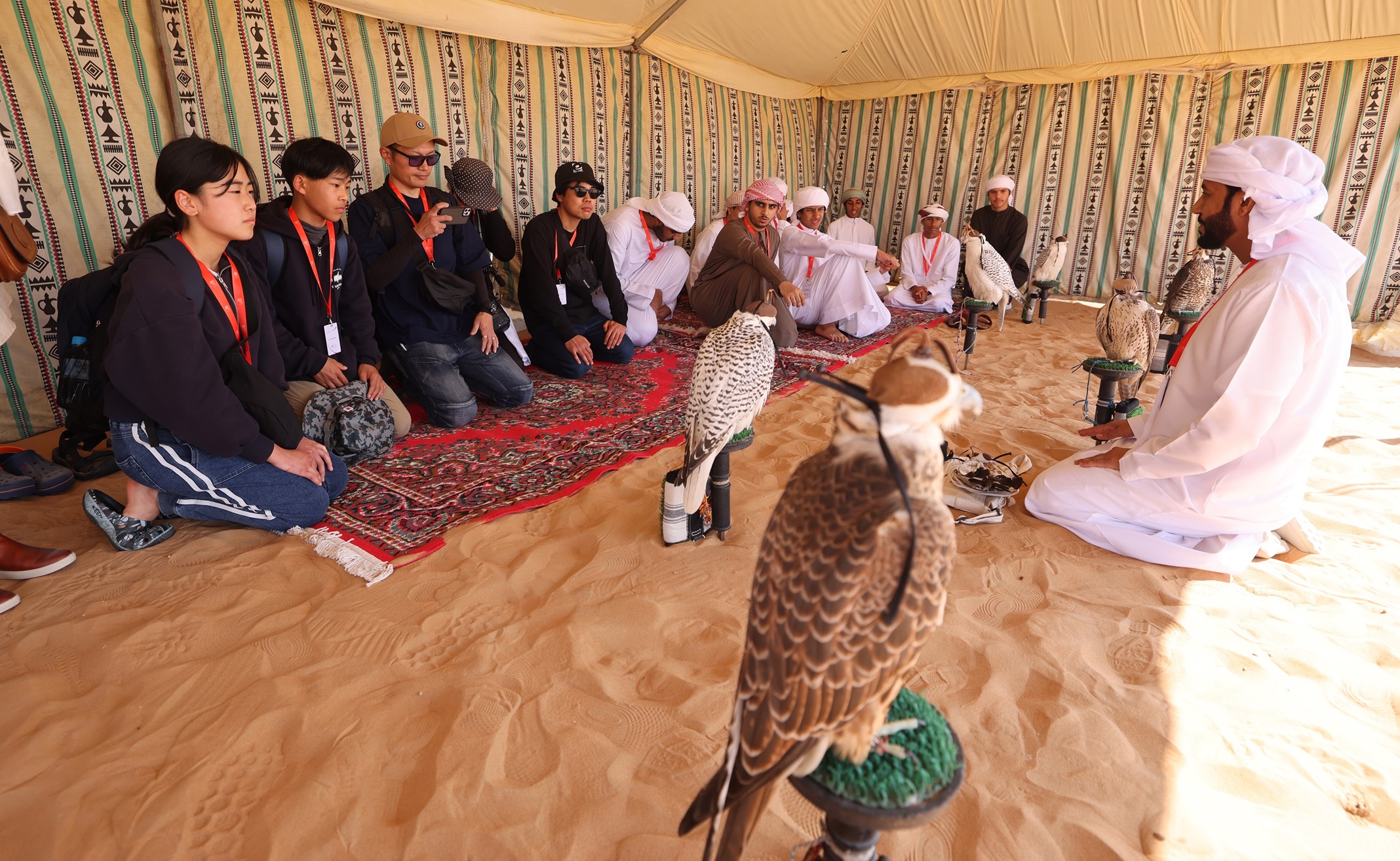 بمشاركة موسّعة… انطلاق النسخة الثالثة من  برنامج الصقارة الإماراتي–الياباني في العين