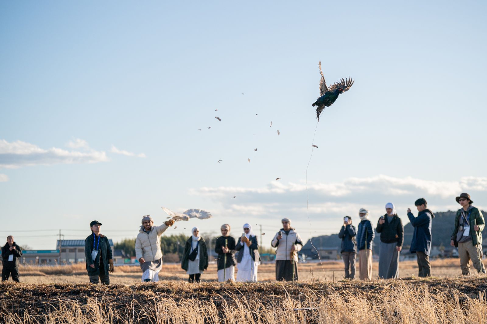 بمشاركة موسّعة… انطلاق النسخة الثالثة من برنامج الصقارة الإماراتي–الياباني في العين