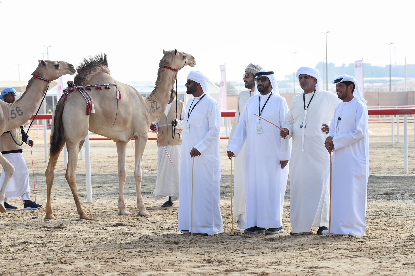 لجان التحكيم في مهرجان الظفرة..تعزز الشفافية والعدالة