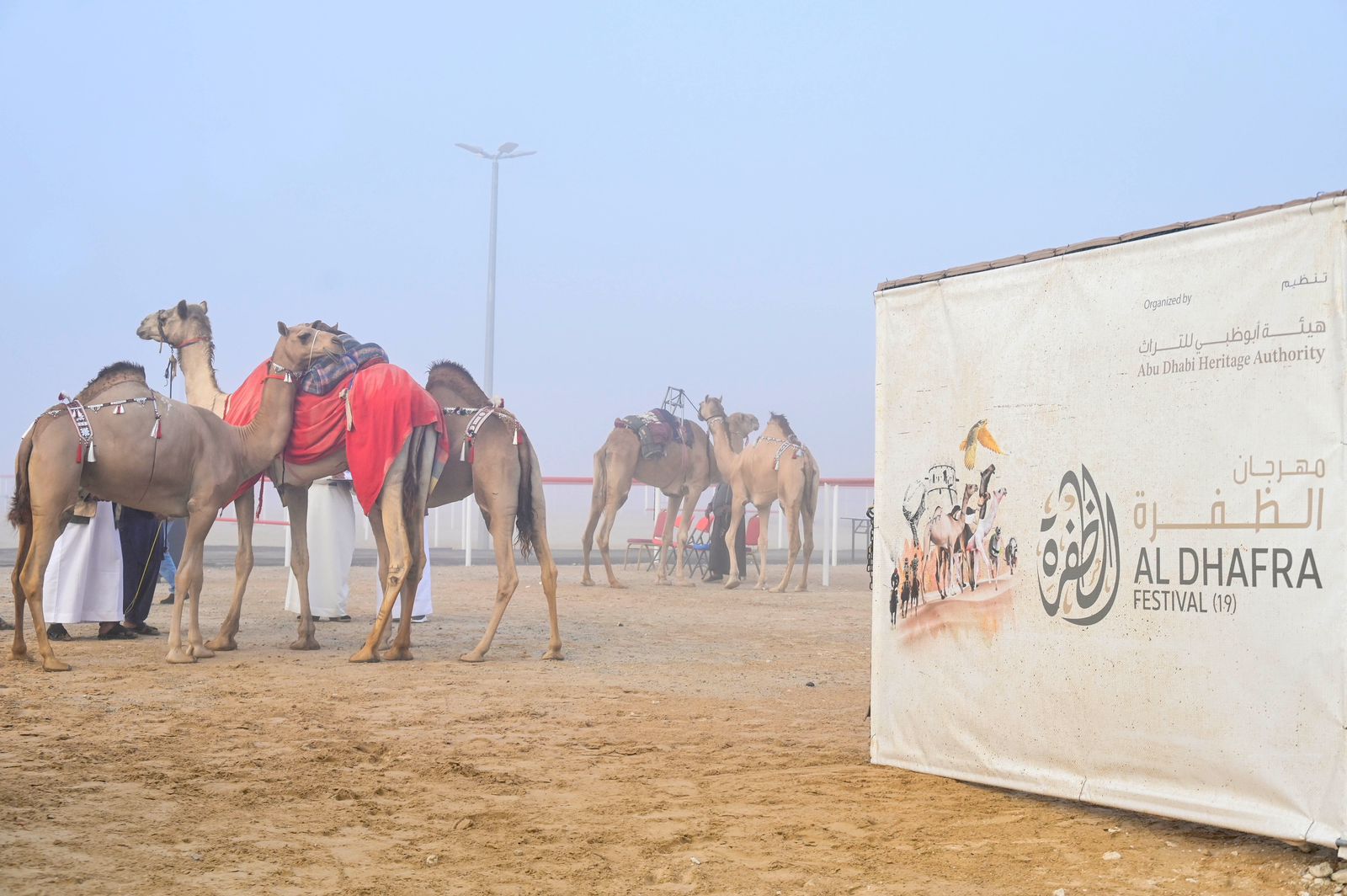 مزاينة الإبل تتوج الفائزين في المحطة الختامية لمهرجان الظفرة بدورته الـ 19