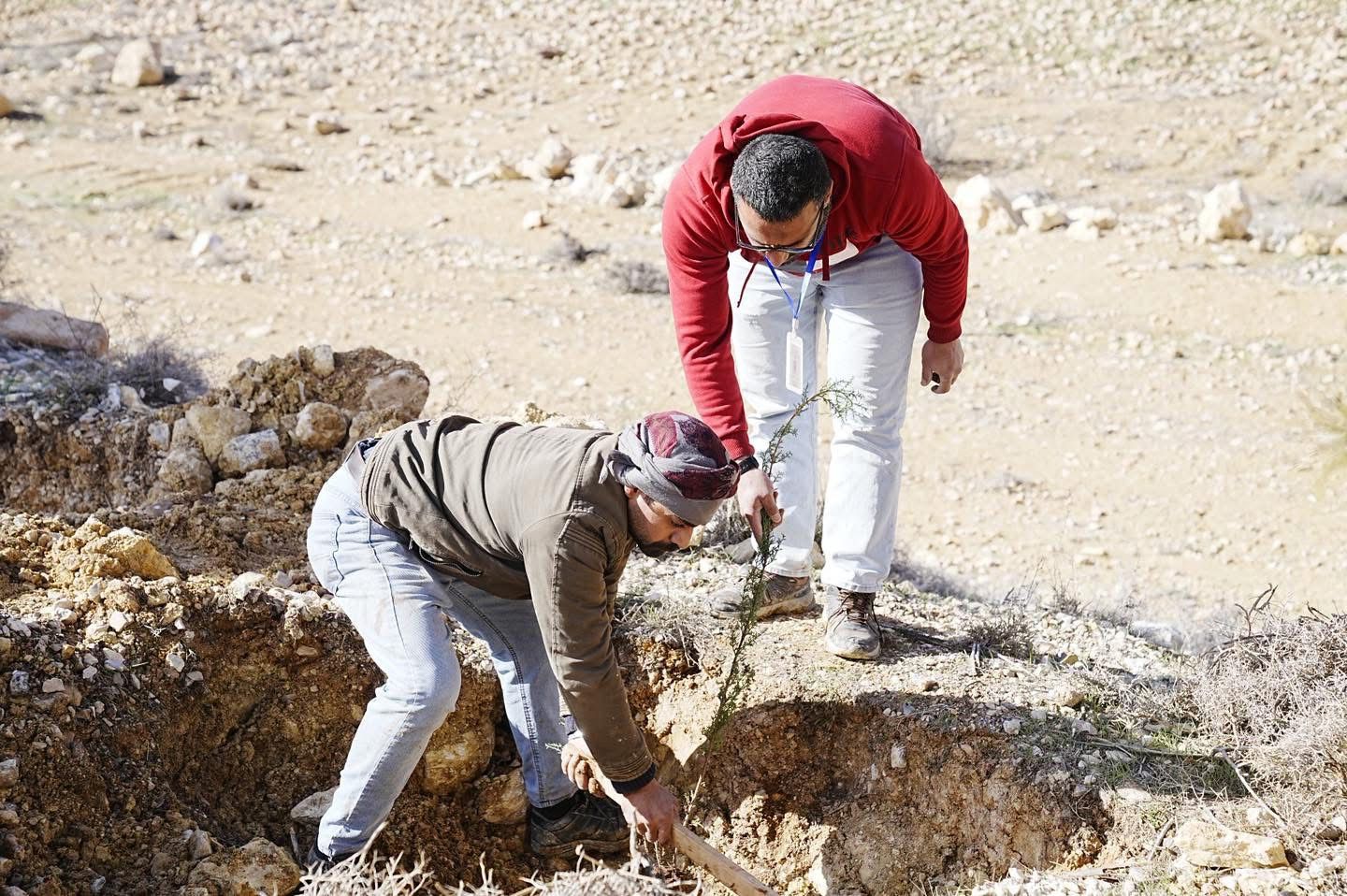 بدء تنفيذ مشروع “الحزام الأخضر وتجميل جوانب الطرق” في منطقة الهيشة باتجاه وادي موسى