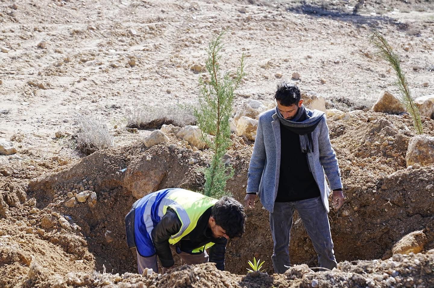 بدء تنفيذ مشروع “الحزام الأخضر وتجميل جوانب الطرق” في منطقة الهيشة باتجاه وادي موسى