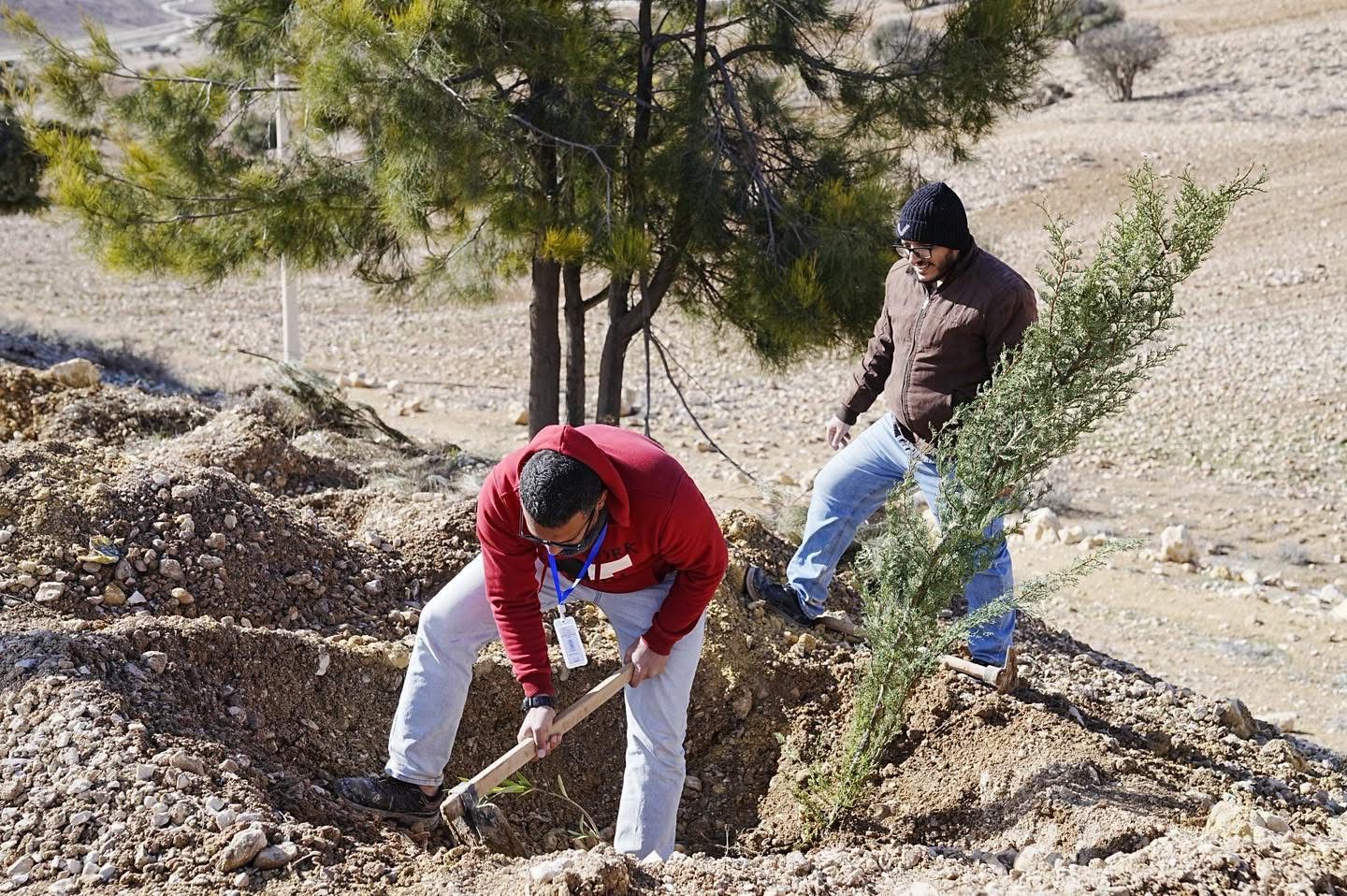 بدء تنفيذ مشروع “الحزام الأخضر وتجميل جوانب الطرق” في منطقة الهيشة باتجاه وادي موسى