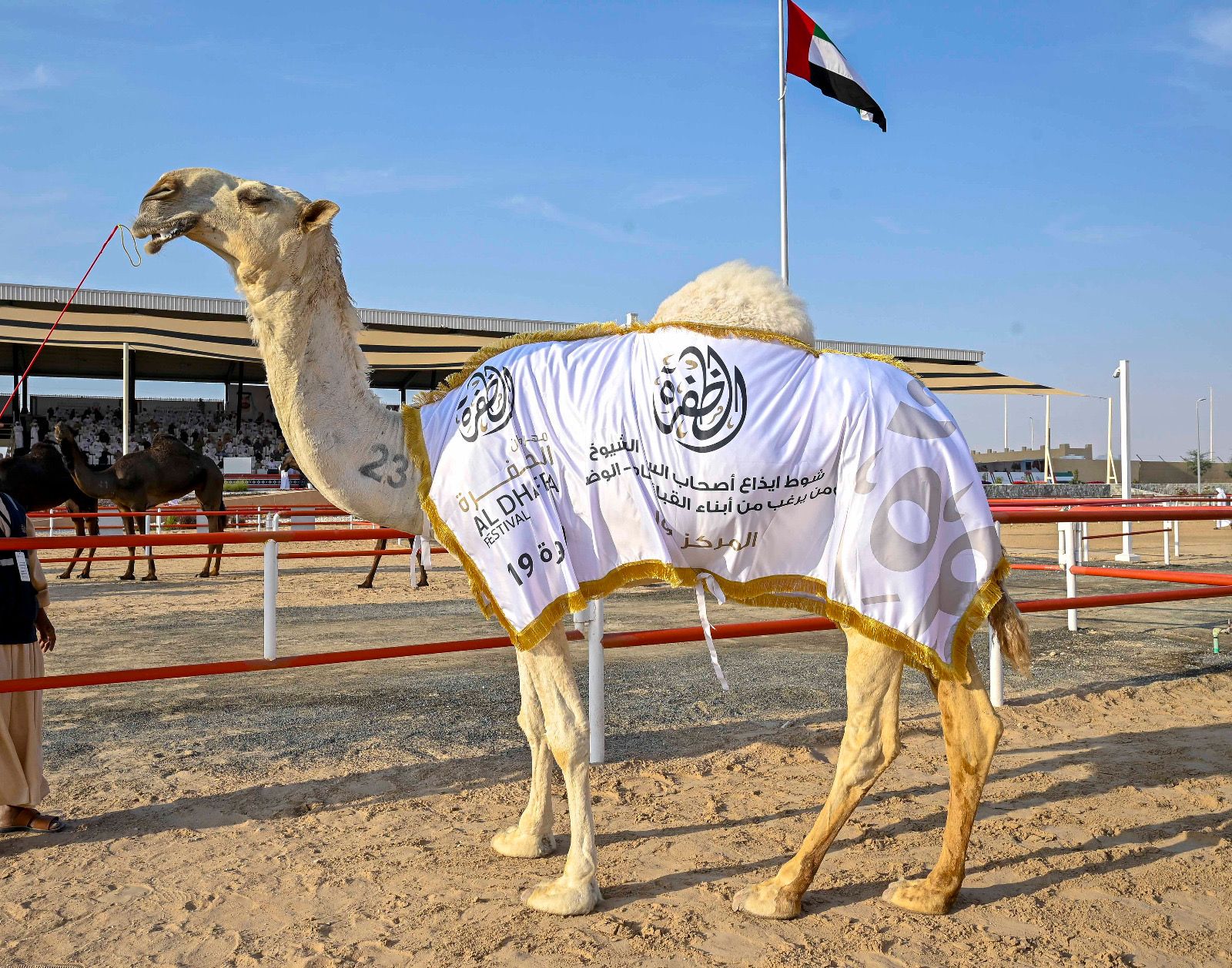 منافسات قوية في أشوط الإيذاع بالمحطة الختامية لمهرجان الظفرة الـ 19