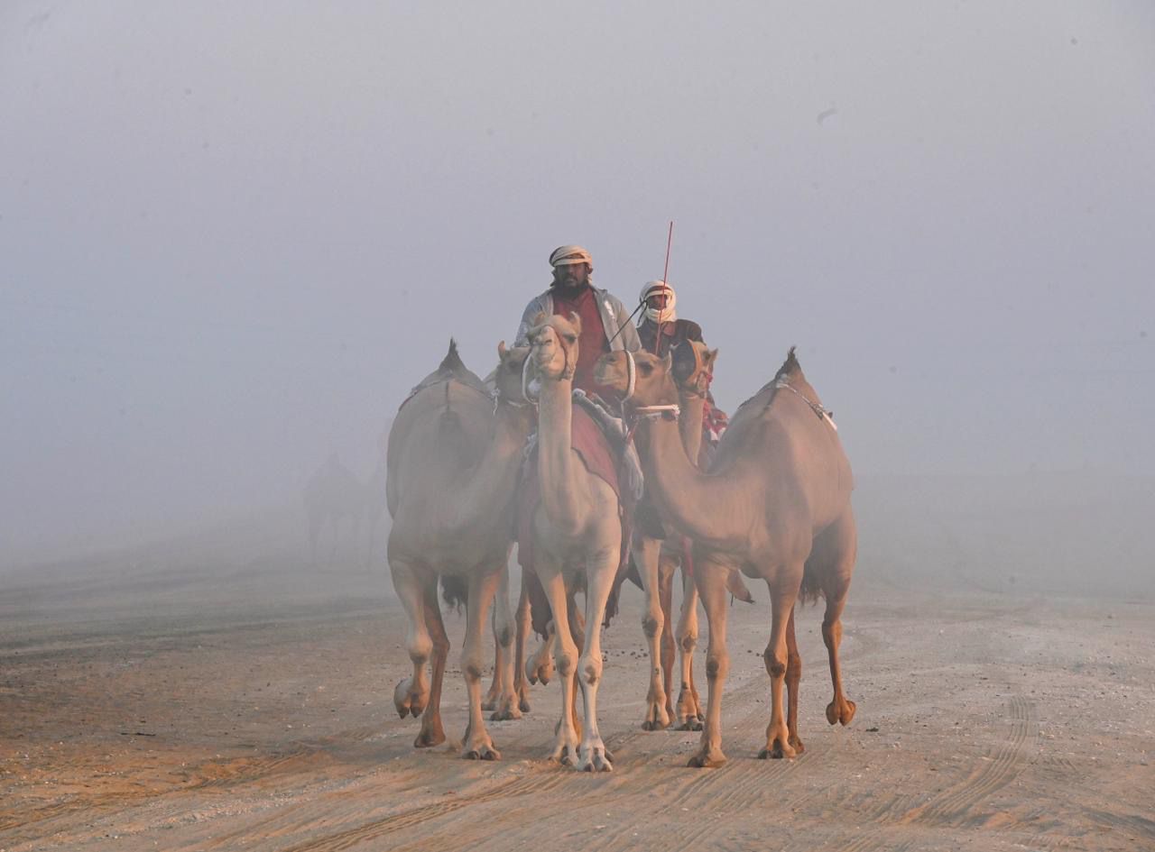 منافسات قوية في أشوط الإيذاع بالمحطة الختامية لمهرجان الظفرة الـ 19