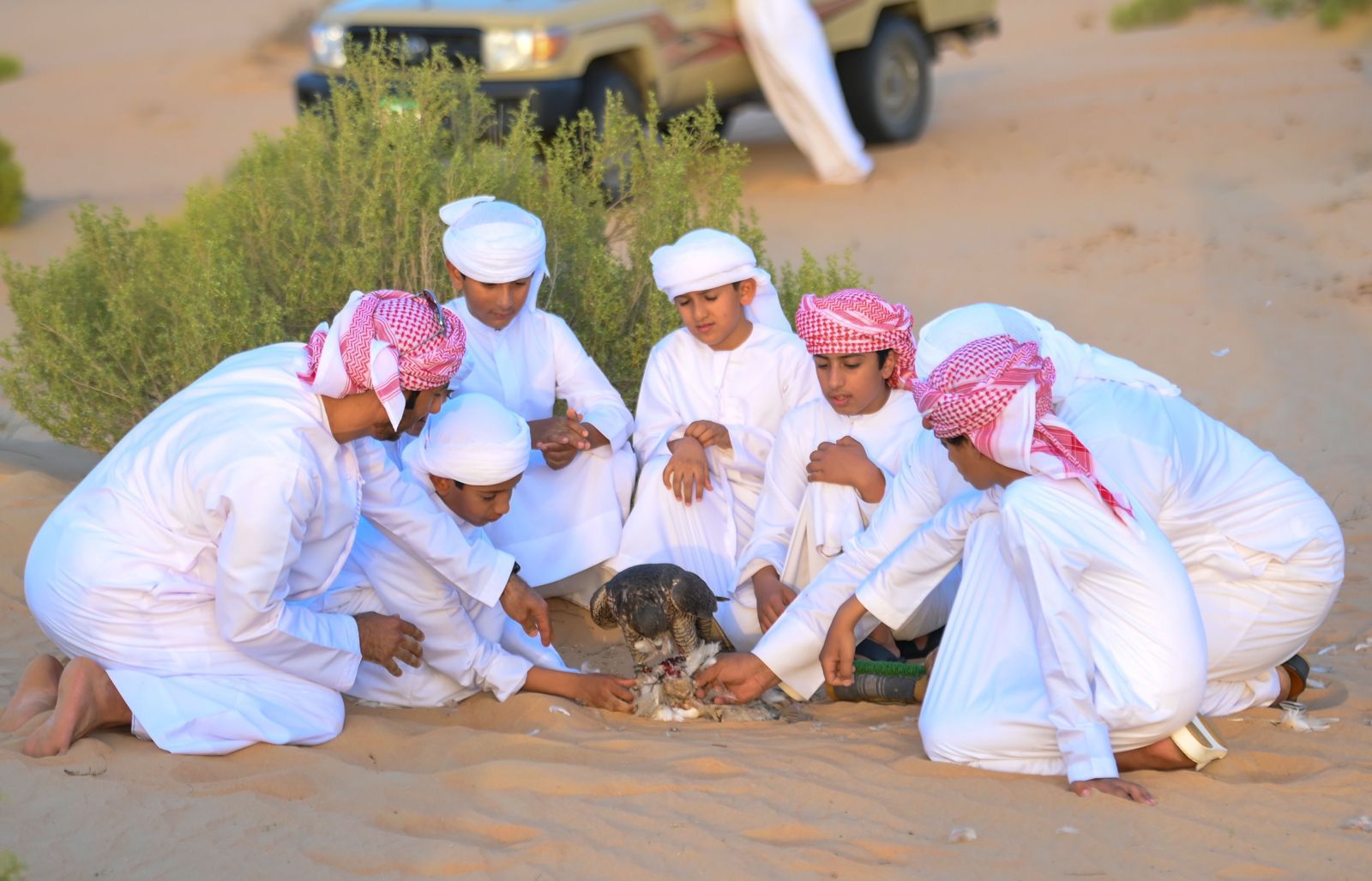 تحت شعار تراثنا أمانة مخيم المربعانية ينطلق في يناير بمدينة زايد في منطقة الظفرة