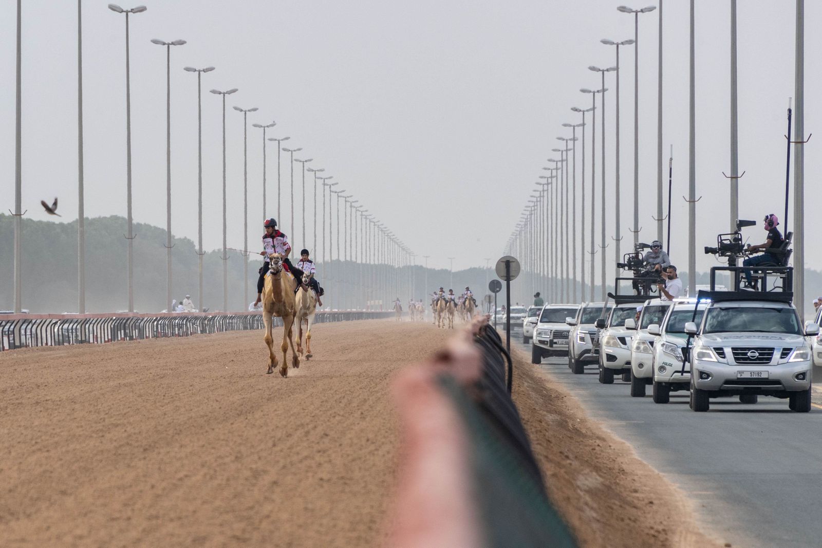 تزامنًا مع مهرجان ولي عهد دبي للهجن ختام مميز لماراثون اليوم الوطني للهجن
