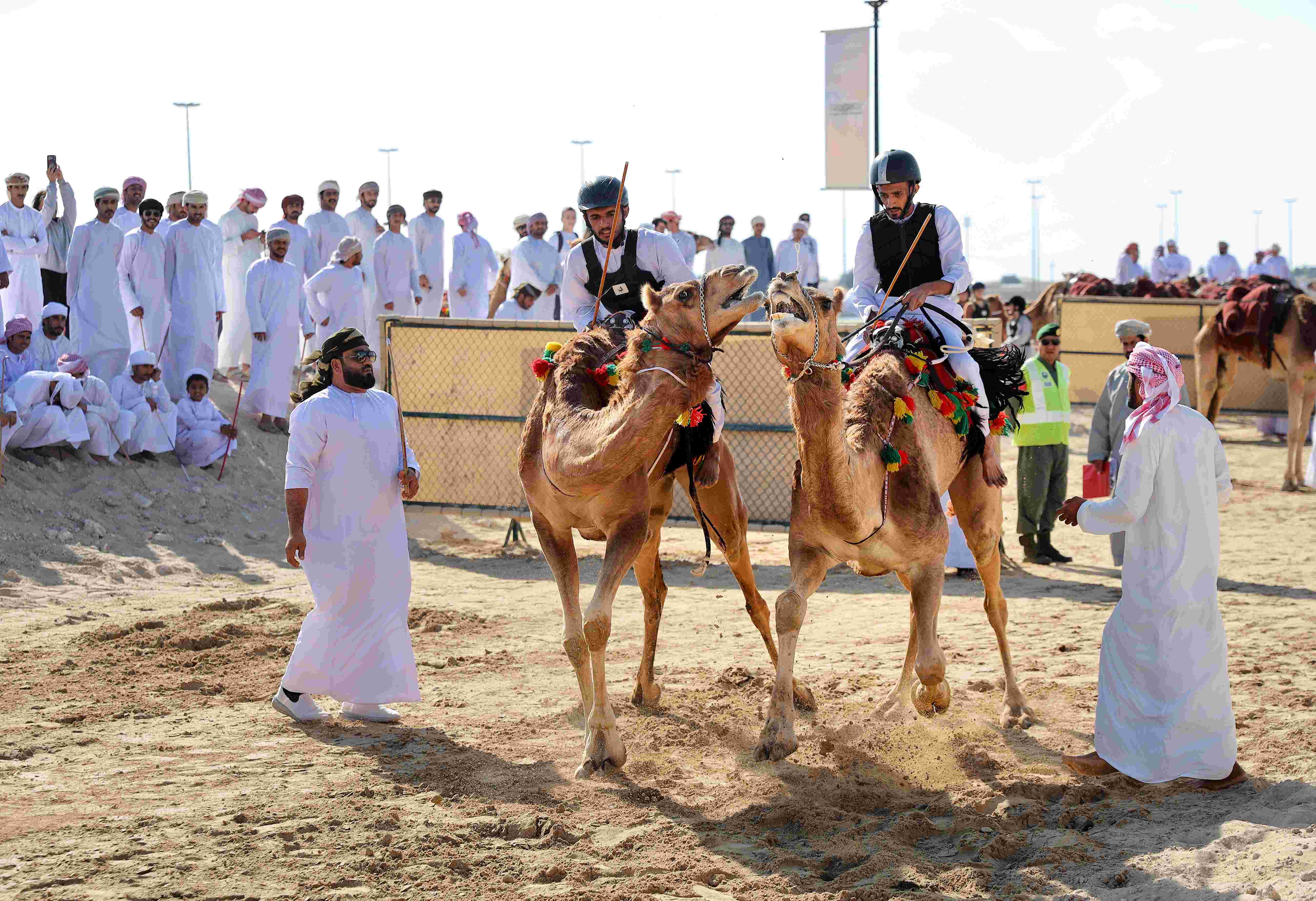 تزامنًا مع مهرجان ولي عهد دبي للهجن 2026 اختتام النسخة الثالثة من بطولة كاس فزاع للعرضة