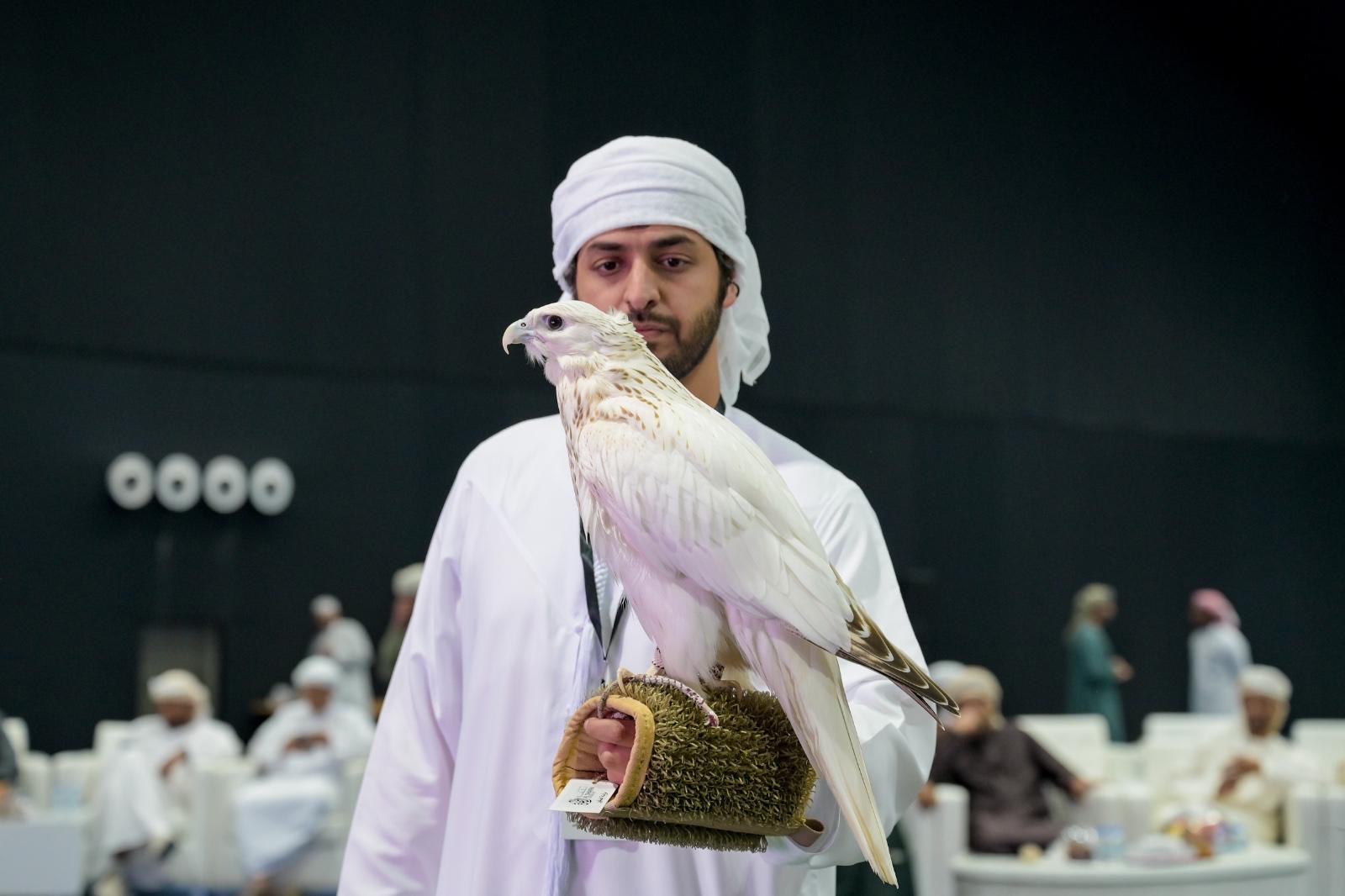 منافسات قوية في مزاينة الصقور وانسف  القعود بمهرجان الظفرة