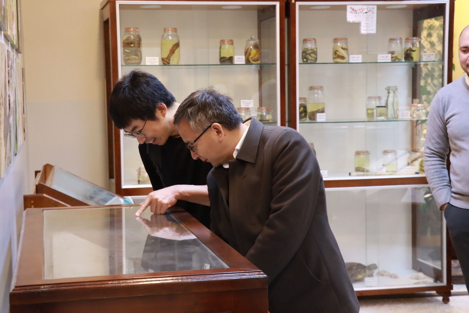 جامعة الحسين بن طلال تبحث آفاق التعاون الأكاديمي مع وفد صيني رفيع المستوى