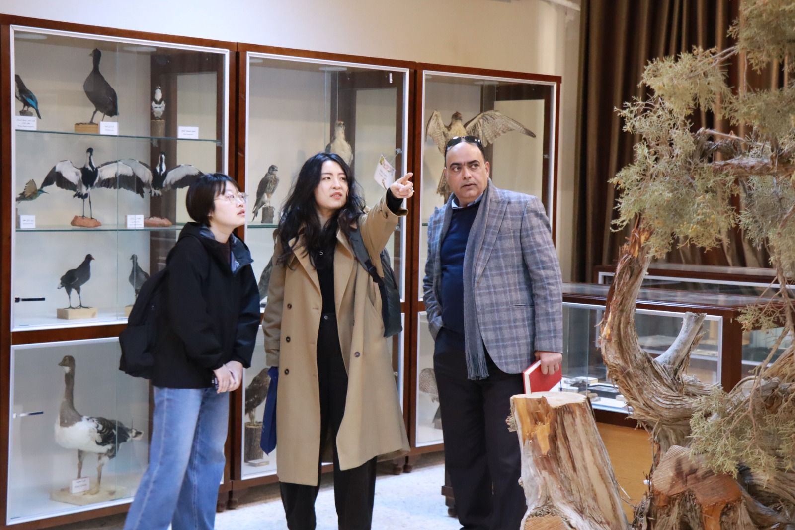 جامعة الحسين بن طلال تبحث آفاق التعاون الأكاديمي مع وفد صيني رفيع المستوى