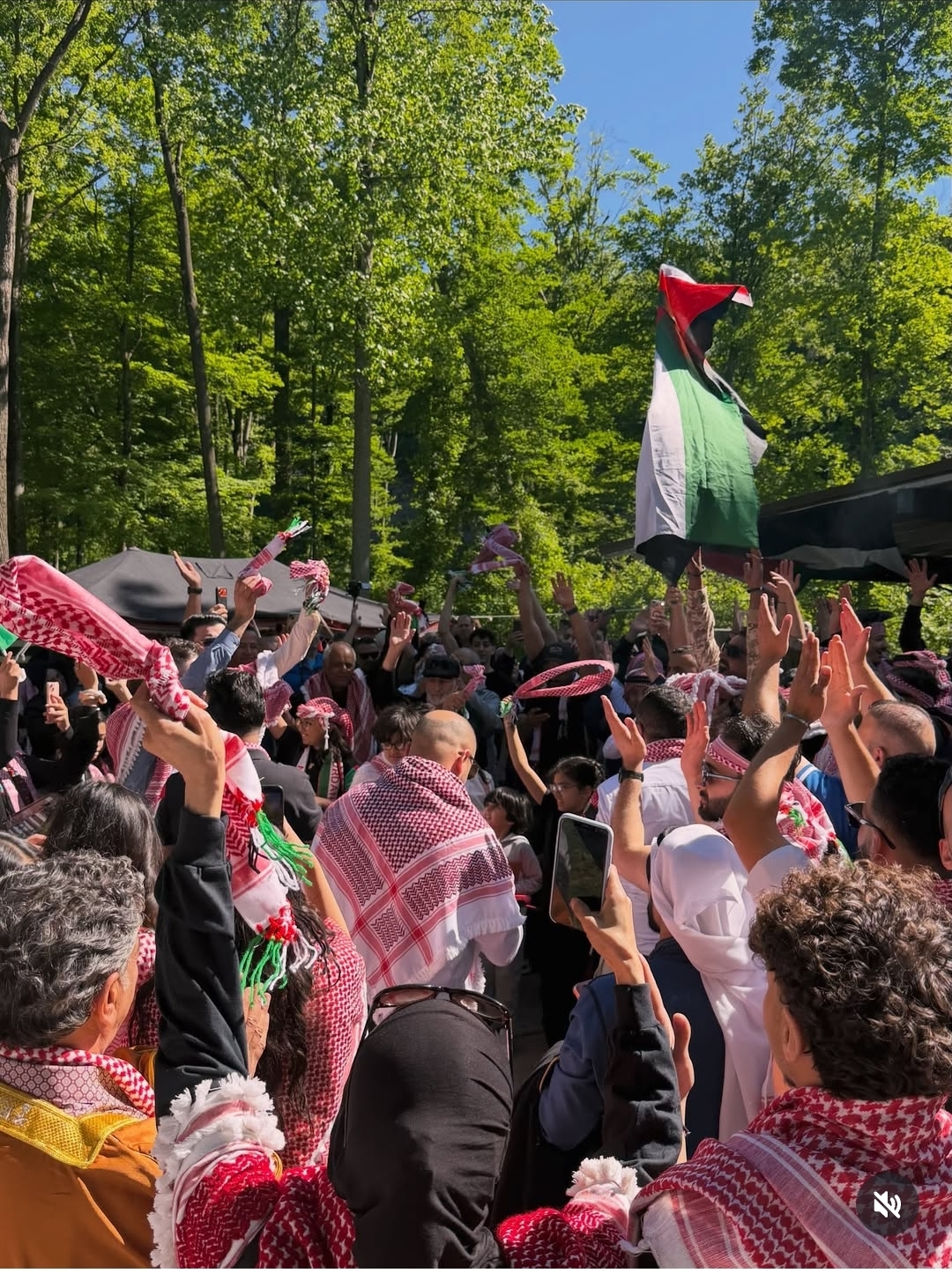 الدكتور محمد الهواوشة يكتب:  *من كليفلاند إلى عمّان... الأردن حاضر في القلوب*