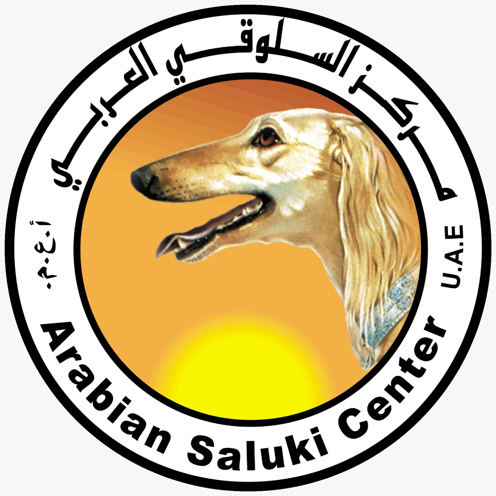 يُنظّمها نادي صقّاري الإمارات من نوفمبر 2026 – أبريل 2027  بطولة السلوقي العربي.. من ممارسة تراثية إلى منظومة رياضية متكاملة
