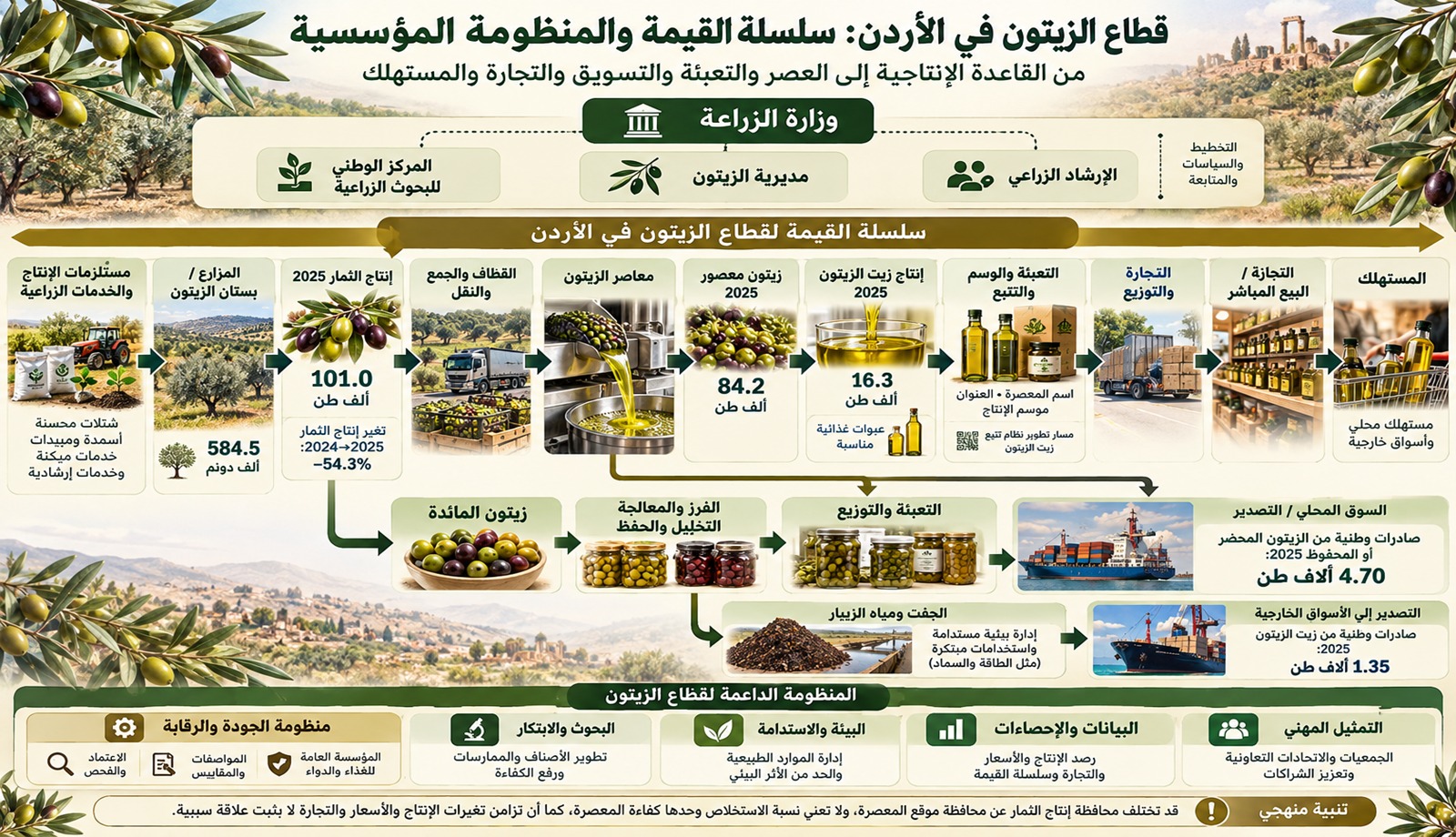 قطاع الزيتون في الأردن 2017–2025: استقرار نسبي في البنية الإنتاجية مقابل تقلبات أوسع في المحصول